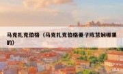 马克扎克伯格（马克扎克伯格妻子陈慧娴哪里的）