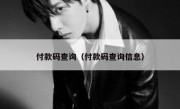 付款码查询（付款码查询信息）