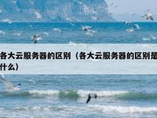 各大云服务器的区别（各大云服务器的区别是什么）