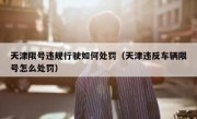 天津限号违规行驶如何处罚（天津违反车辆限号怎么处罚）