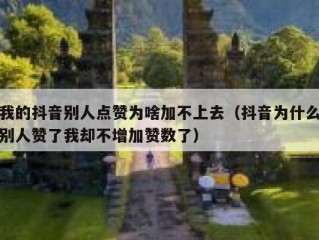 我的抖音别人点赞为啥加不上去(抖音为什么别人赞了我却不增加赞数了)