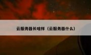 云服务器长啥样（云服务器什么）