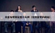 抖音加赞网址是什么啊（充抖音赞的网站）