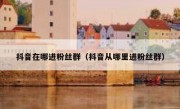 抖音在哪进粉丝群（抖音从哪里进粉丝群）