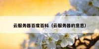 云服务器百度百科（云服务器的意思）