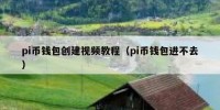 pi币钱包创建视频教程（pi币钱包进不去）