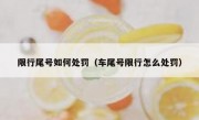限行尾号如何处罚（车尾号限行怎么处罚）