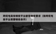 跨境电商有哪些平台都有哪些要求（做跨境电商平台需要哪些条件）