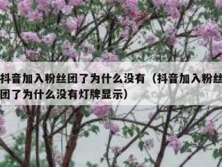 抖音加入粉丝团了为什么没有（抖音加入粉丝团了为什么没有灯牌显示）