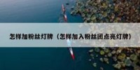 怎样加粉丝灯牌（怎样加入粉丝团点亮灯牌）