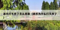 派币打不开了怎么回事（派币为什么打不开了）