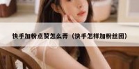快手加粉点赞怎么弄（快手怎样加粉丝团）