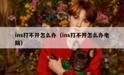 ins打不开怎么办（ins打不开怎么办电脑）