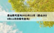 唐山限号查询2022年11月（唐山2020年11月份限号查询）