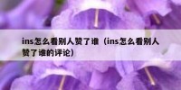 ins怎么看别人赞了谁（ins怎么看别人赞了谁的评论）