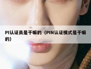 PI认证员是干嘛的（PIN认证模式是干嘛的）