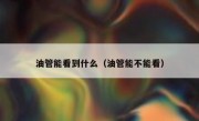 油管能看到什么（油管能不能看）