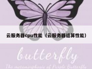 云服务器cpu性能（云服务器运算性能）