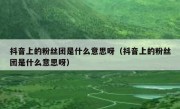 抖音上的粉丝团是什么意思呀（抖音上的粉丝团是什么意思呀）