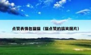 点赞表情包猫猫（猫点赞的搞笑图片）