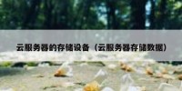 云服务器的存储设备（云服务器存储数据）