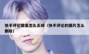 快手评论图案怎么去掉（快手评论的图片怎么删除）