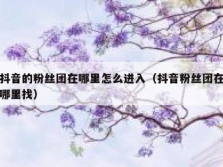 抖音的粉丝团在哪里怎么进入（抖音粉丝团在哪里找）