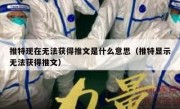 推特现在无法获得推文是什么意思（推特显示无法获得推文）