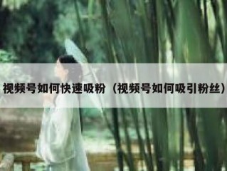 视频号如何快速吸粉（视频号如何吸引粉丝）