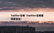 Twitter在哪（twitter在哪里设置语言）