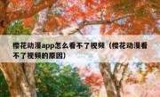 樱花动漫app怎么看不了视频（樱花动漫看不了视频的原因）