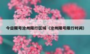 今日限号沧州限行区域（沧州限号限行时间）