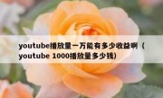 youtube播放量一万能有多少收益啊（youtube 1000播放量多少钱）
