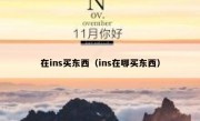 在ins买东西（ins在哪买东西）