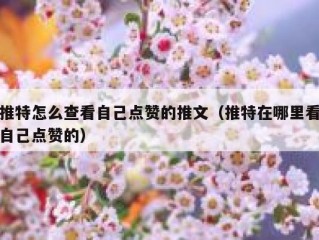 推特怎么查看自己点赞的推文（推特在哪里看自己点赞的）