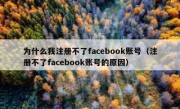 为什么我注册不了facebook账号（注册不了facebook账号的原因）