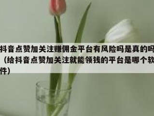 抖音点赞加关注赚佣金平台有风险吗是真的吗（给抖音点赞加关注就能领钱的平台是哪个软件）