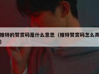 推特的赞赏码是什么意思（推特赞赏码怎么弄）