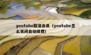 youtube取消会员（youtube怎么关闭自动续费）