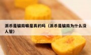 派币是骗局嘛是真的吗（派币是骗局为什么没人管）