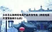 小白怎么做跨境电商产品开发专员（跨境电商开发专员做什么的）