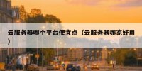 云服务器哪个平台便宜点（云服务器哪家好用）