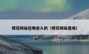 樱花网站在哪进入的（樱花网站是啥）