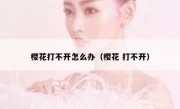 樱花打不开怎么办（樱花 打不开）