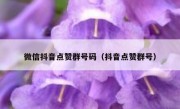 微信抖音点赞群号码（抖音点赞群号）