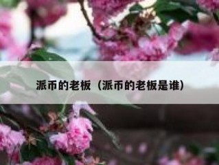 派币的老板（派币的老板是谁）