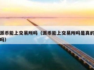派币能上交易所吗（派币能上交易所吗是真的吗）