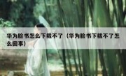 华为脸书怎么下载不了（华为脸书下载不了怎么回事）