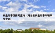 秦皇岛市区限号查询（河北省秦皇岛市车辆限号查询）
