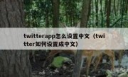 twitterapp怎么设置中文（twitter如何设置成中文）